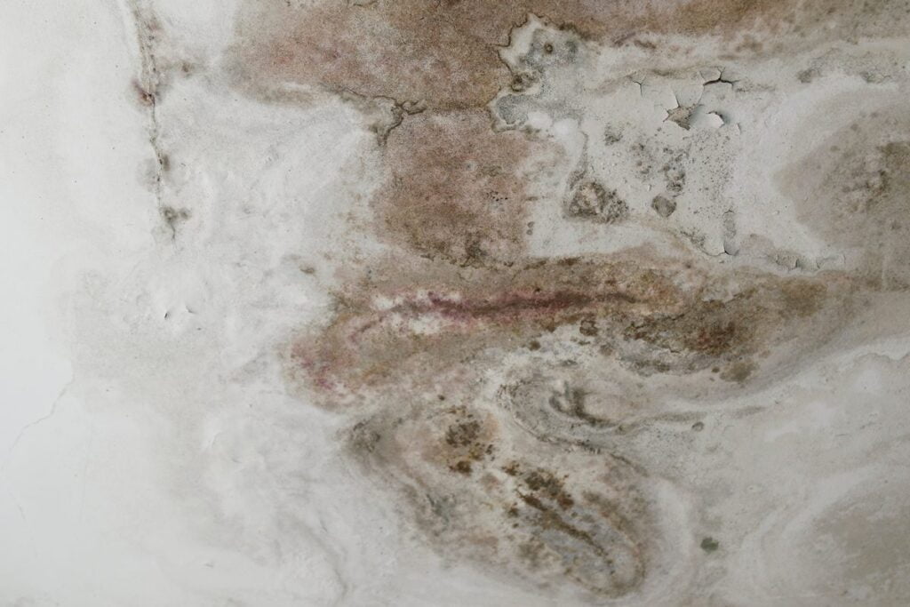 Infiltração-umidade-Textufibra-VR